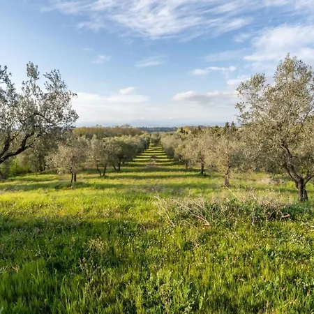 Villa Inserrata Lifestyle In Tuscany San Miniato